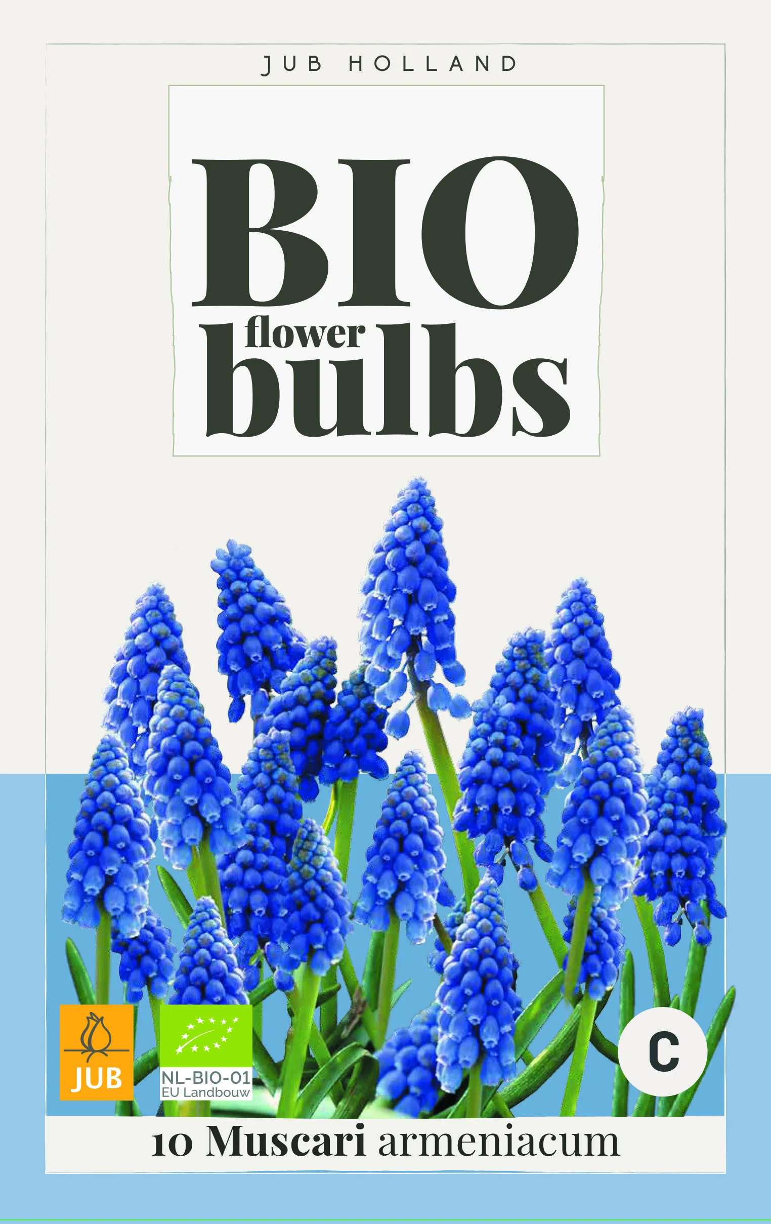 Bloembollenrecept: Delfts Blue