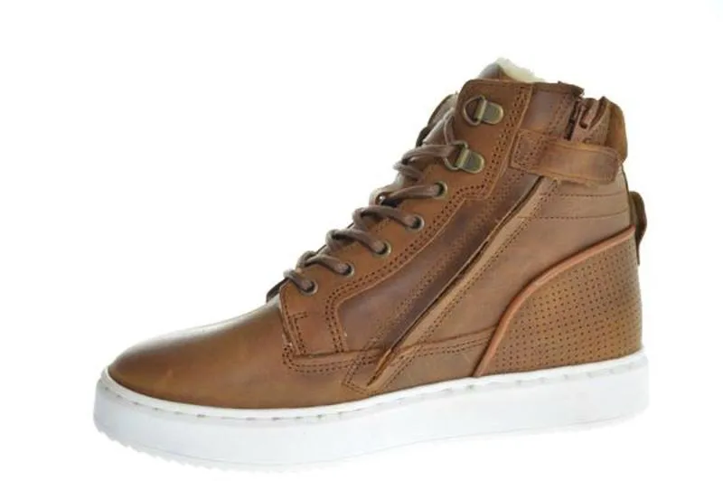 Gattino G2586