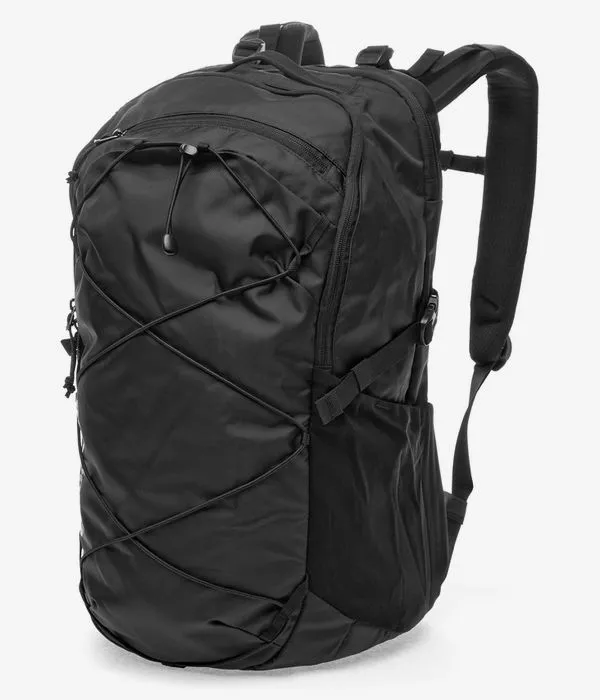 Patagonia Refugio Day Rugzak 30L (black)