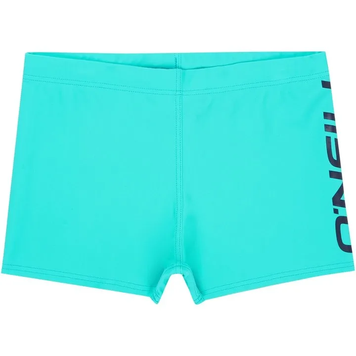 Swimming Trunk O'Neill Boys Logo Ceramic Blue